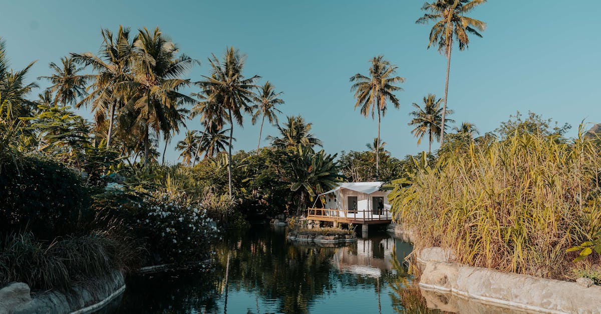 Sustainable Vacation 2025